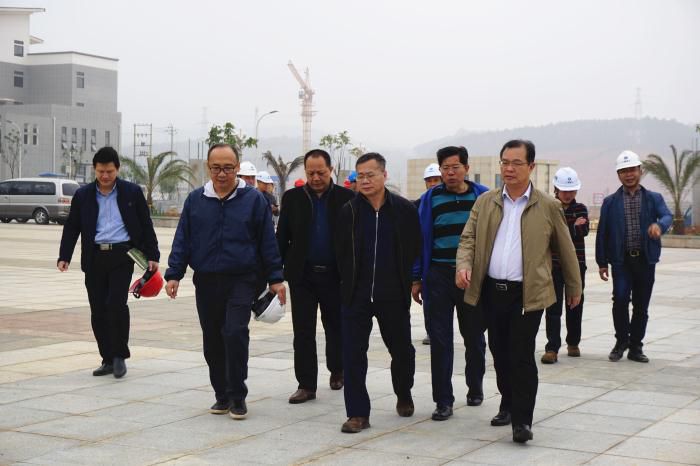 5.吴锡熹一行在项目完工区进行实地察看。谢微旋 摄700.jpg