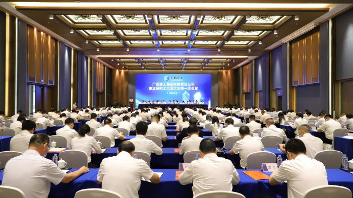 1595496867908271.jpg 会议现场。李立云 摄.jpg