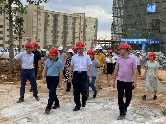 调研现场。韦艳兰 摄.png