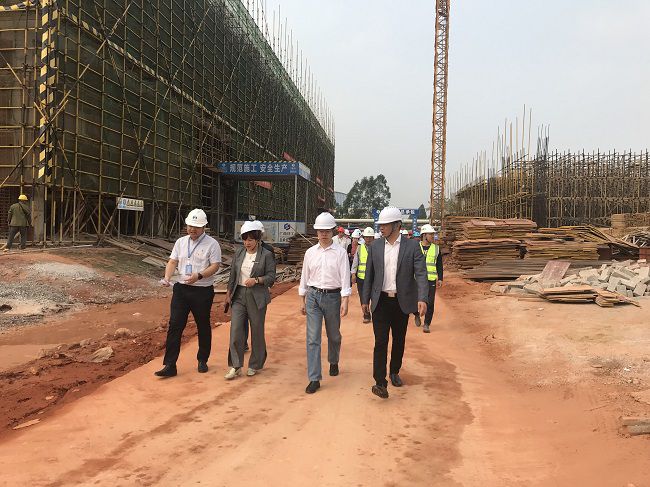 项目调研现场。苏宗杰 摄（修图）.jpg