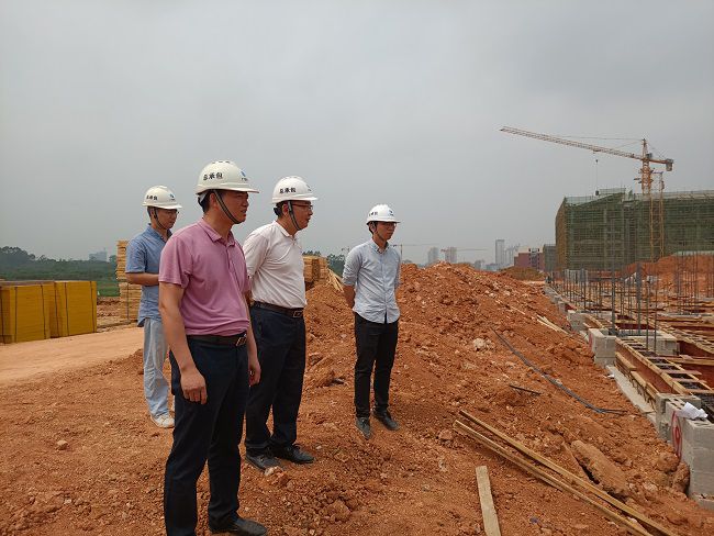 1618278402559370.jpg 项目现场。龙兆开 摄(修图).jpg